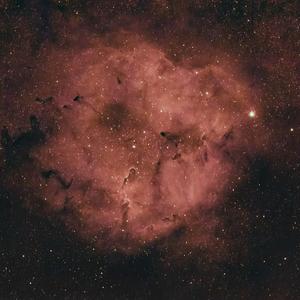 要死就一定要死在你手里