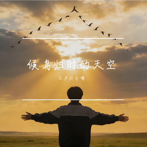 候鸟归时的天空