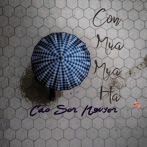 Cơn Mưa Mùa Hạ