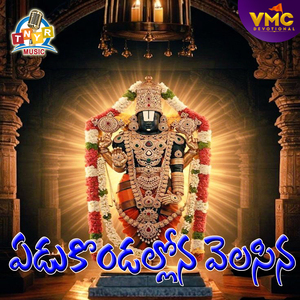 Yedukondalo Velisinavo