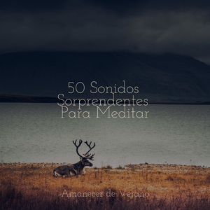 Deriva del portal místico