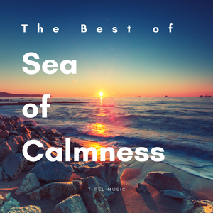 Engulf Yourself in the Perfect Ocean