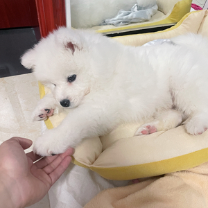 那是什么样一个地方（纯音乐）