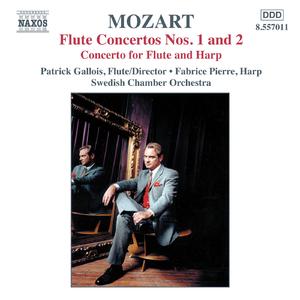 Flute Concerto No. 2 in D Major, K. 314:II. Andante ma non troppo