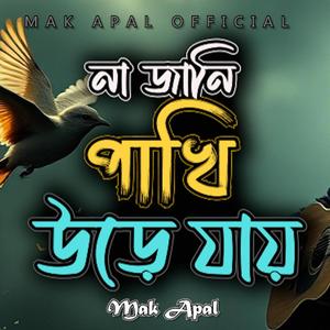 একটা বদ হাওয়া লেগে খাঁচায় (Piano Version)