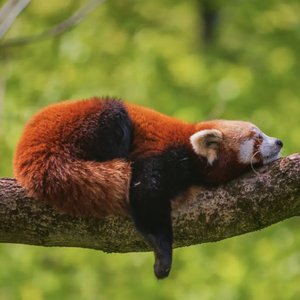 你才是我的目的地