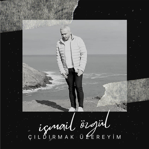 Çıldırmak Üzereyim