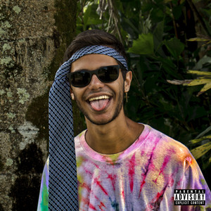 Hippie Milionário