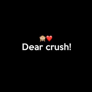 Dear crush