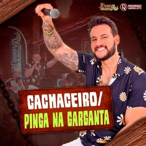 Cachaceiro / Pinga na Garganta (Medley)
