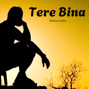 Tere Bina
