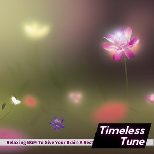 Echoes of Still Waters