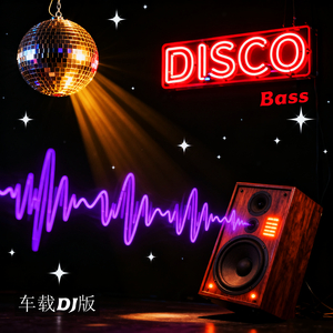 Disco Bass (车载dj版)