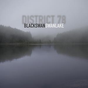 BLACK swan SWAN lake