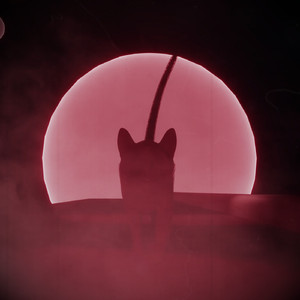 Rex's Lullaby (Original Mix)