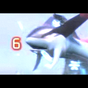 垃圾堆日记（pord.by Taigen x jkei）