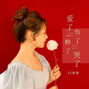 爱了伤了醉了哭了 (DJ默涵版)