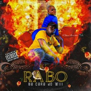 Rabo na Cara do Wiii