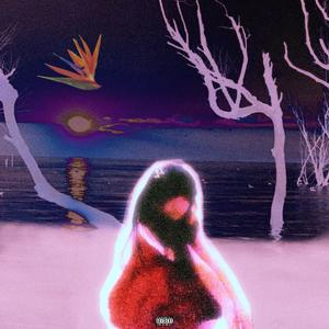 天堂鸟(Prod.BubbaUnoBeatz)