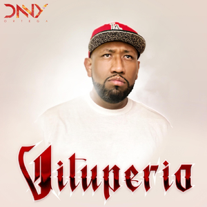 Vituperio