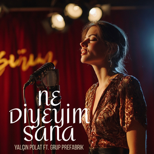 Ne Diyeyim Sana