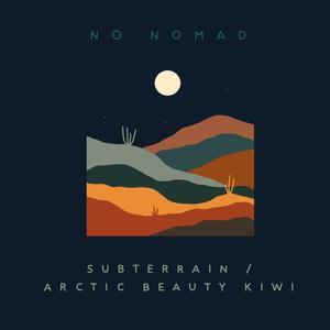 Subterrain