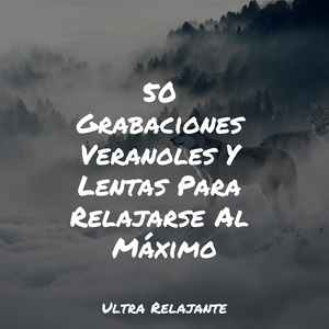 Escribiendo Al Atardecer