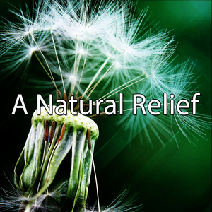 High Atop the Mountain