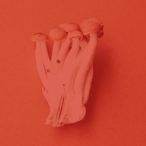 微妙的安静的星期日心情