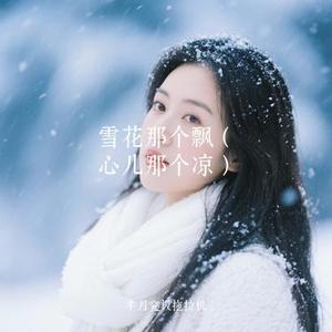 雪花那个飘 (心儿那个凉) (Cover 王娜)