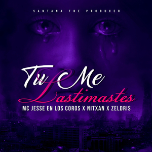Tu Me Lastimastes (feat. MC Jesse en los Coros & Nitxan)