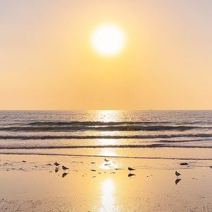 鸡蛋鸭蛋荷包蛋