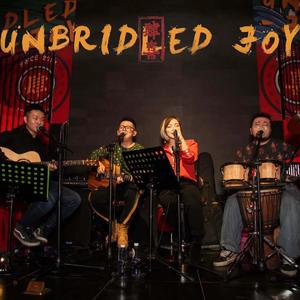 盗将行（live版）