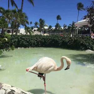 把你抱住（翻自 Sakee云雾）