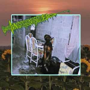 Fermenting Guts Farm