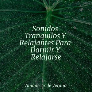Melodía Confitada y Dichosa