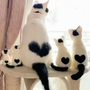 ASTROTHUNDER (nightcore)