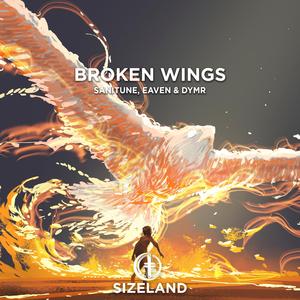 Broken Wings