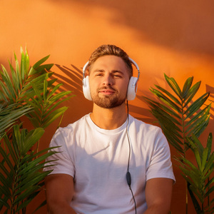 Lofi Tranquilo Para Las Noches