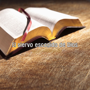 Recompensas