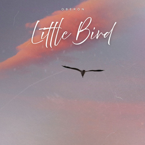 Little Bird