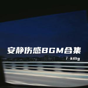 人生第一课 学会接受离别（安静伤感bgm）