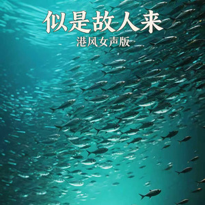似是故人来(港风女声版)