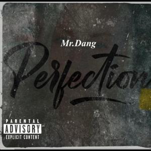 PERFECTION (feat. Influ)