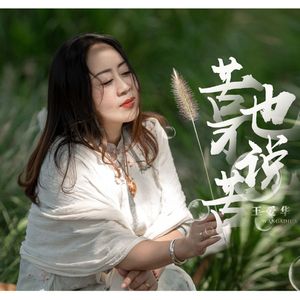 苦也不说苦 (DJ版)