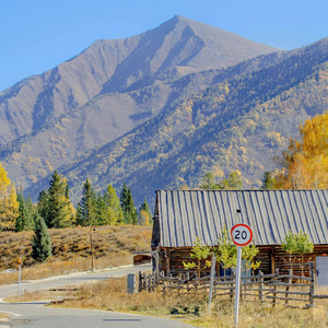 离别总带着哀伤
