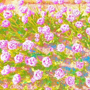 Kulyari Incorporated