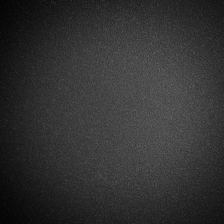 【白噪声】写论文必备