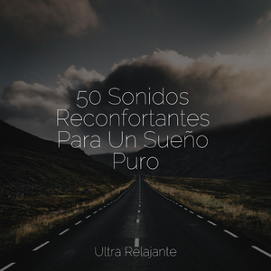 Belleza Conmovedora