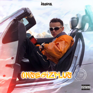 Onsegizplus